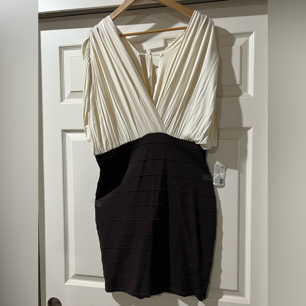 Forever 21 + Body Con Dress 2x